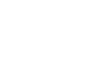 DEE Fire & Fluid